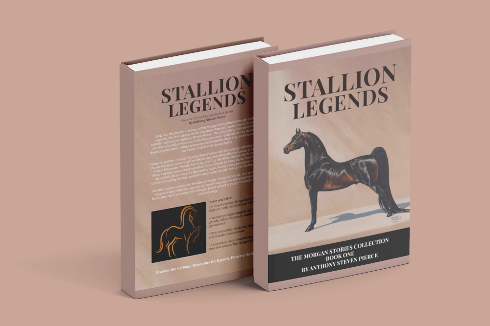 gallery-images-of-horses